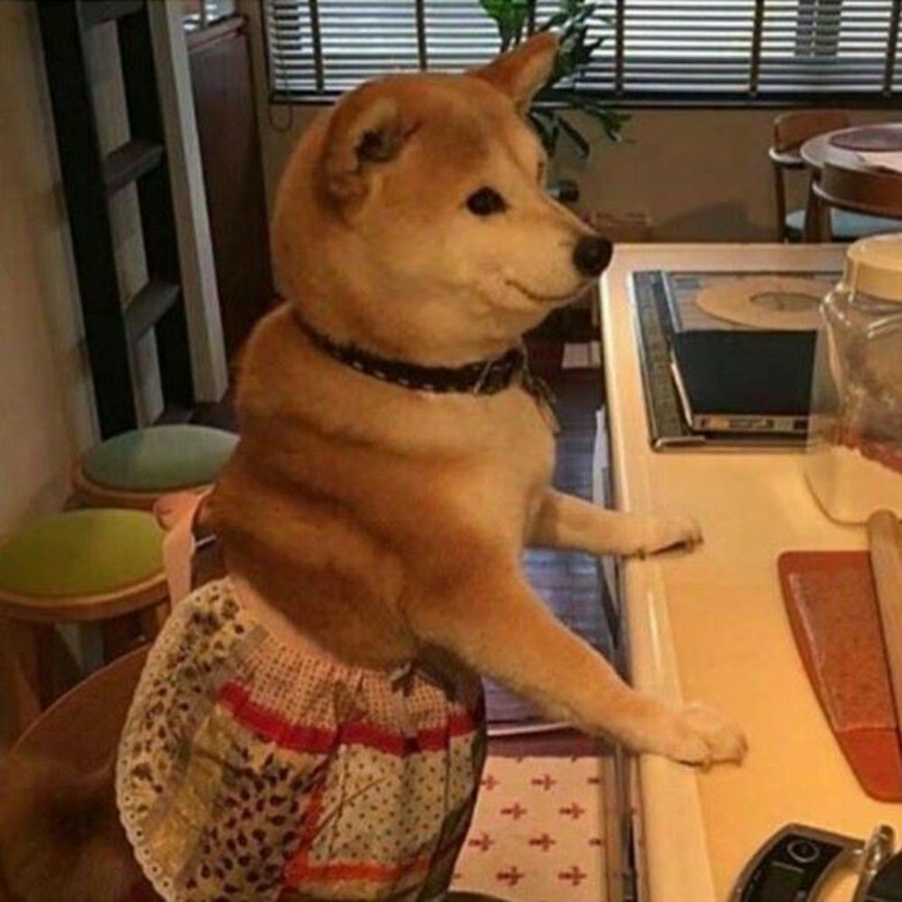 Meet your Posher, Angel